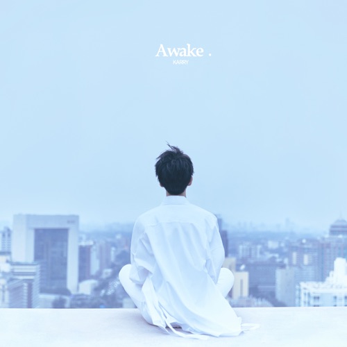 醒着 – Single – 王俊凯-无损音乐