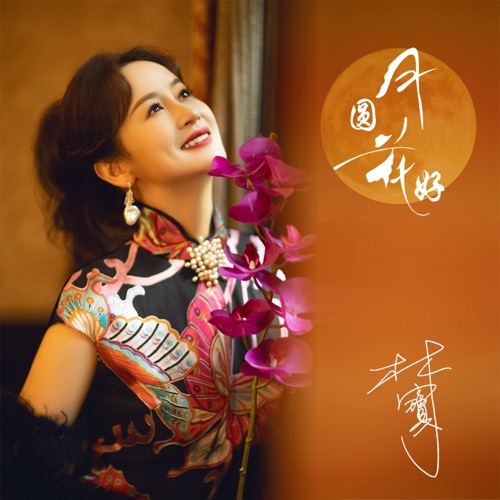 月圆花好 (沪语版) – Single – 林宝-无损音乐
