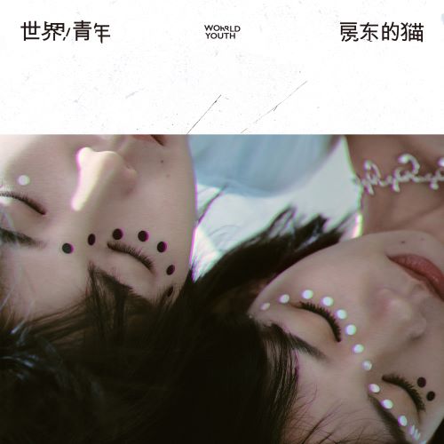 房东的猫 世界_青年-无损音乐