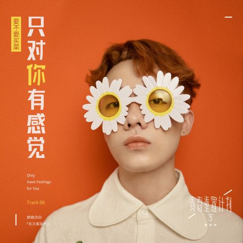 要不要买菜单曲合辑-无损音乐