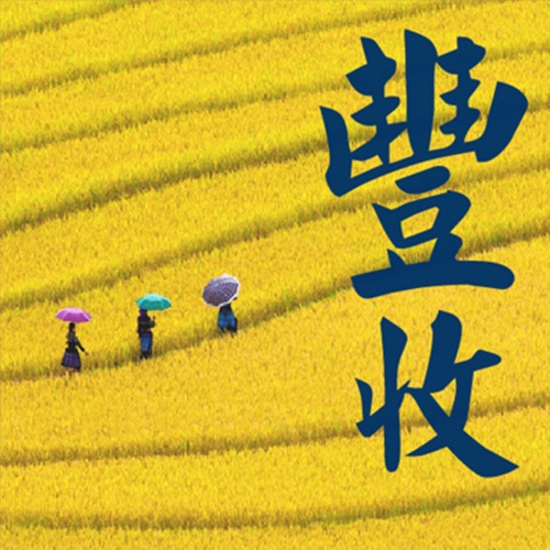 丰收 – 贵族乐团-无损音乐