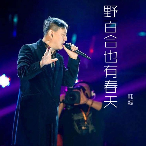 野百合也有春天 – Single – 韩磊-无损音乐