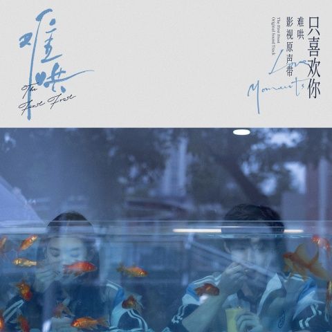 电视剧《难哄》影视原声带·只喜欢你Love Moments – 群星-无损音乐