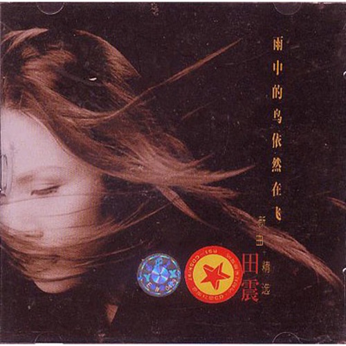 雨中的鸟依然在飞 – Single – 田震-无损音乐