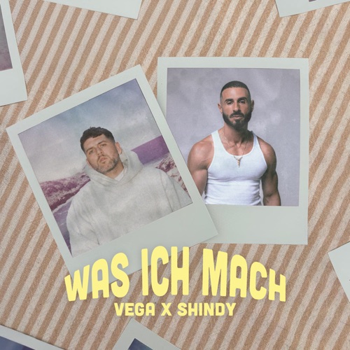 Was ich mach – Single – Vega & Shindy-无损音乐