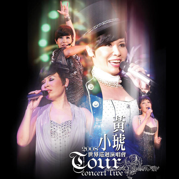 黄小琥 《世界巡回演唱会》 2008 演唱会 [DVD ISO 7.8G]-无损音乐/蓝光演唱会