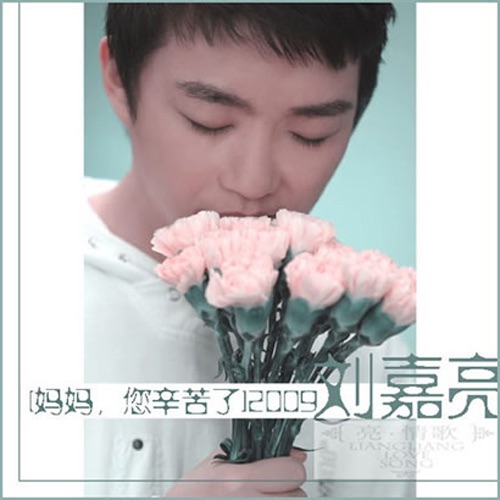 妈妈 您辛苦了 – Single – 刘嘉亮-无损音乐