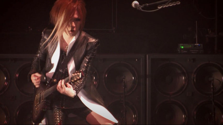 the GazettE 《STANDING LIVE TOUR14 HERESY LIMITED -再定義》 2015 演唱会 [3DVD ISO 11.8GB]