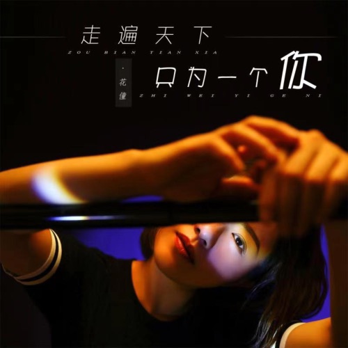 走遍天下只为一个你 – Single – 花僮-无损音乐