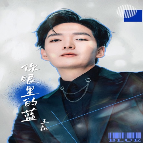 你眼里的蓝 – Single – 王凯-无损音乐