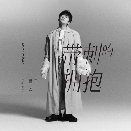 带刺的拥抱 – Single – 王祖蓝-无损音乐