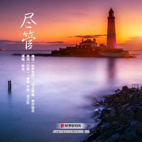 尽管 – Single – 林宝-无损音乐