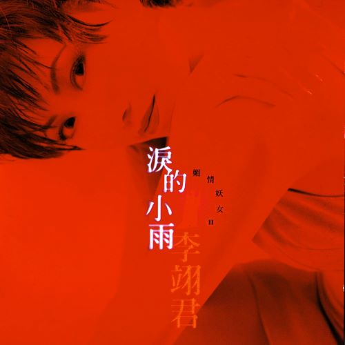 李翊君 泪的小雨-无损音乐/蓝光演唱会