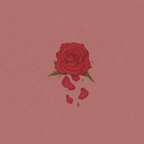 丑花:Rose – Single – 柳爽-无损音乐