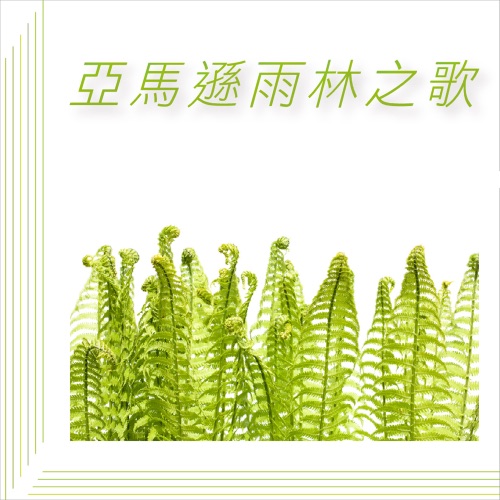 亚马逊雨林之歌 – 贵族乐团-无损音乐