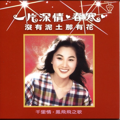 一片深情 – 凤飞飞-无损音乐