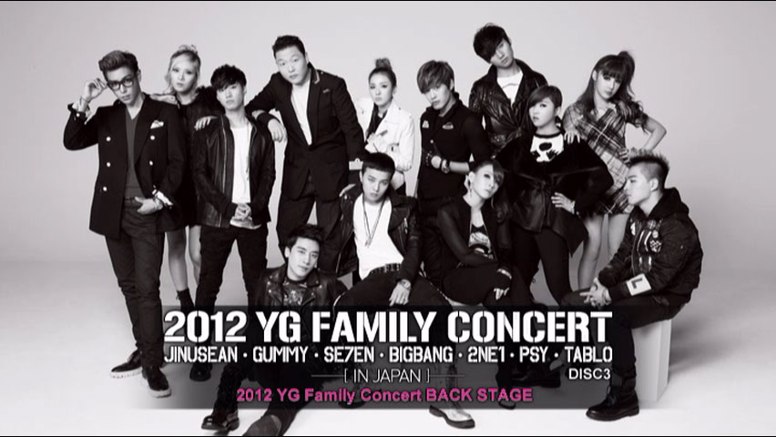 YG Family 《YG Family Concert in Japan》 2012 演唱会 [3DVD ISO 16.6GB]