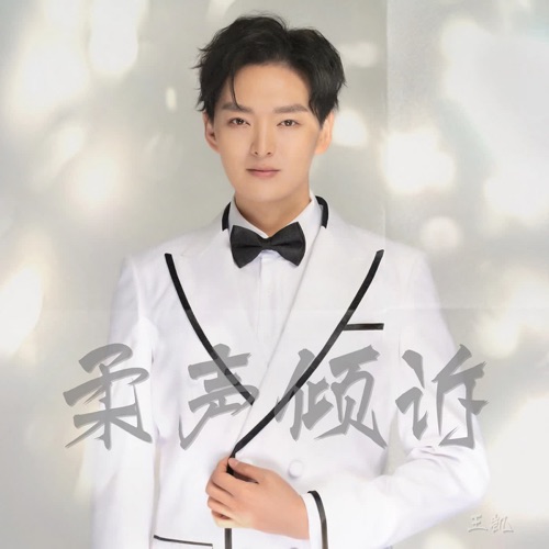 柔声倾诉 – Single – 王凯-无损音乐