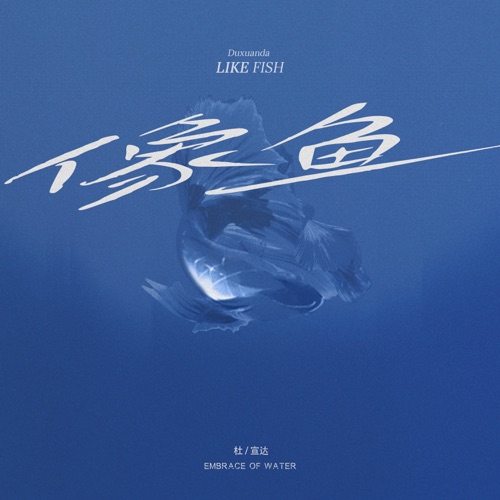像鱼 – Single – 杜宣达-无损音乐