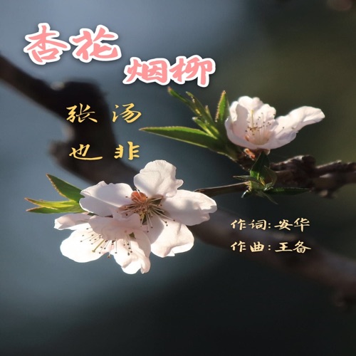 杏花烟柳 – Single – 张也 & 汤非-无损音乐