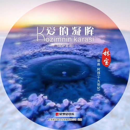 爱的凝眸 – Single – 林宝-无损音乐