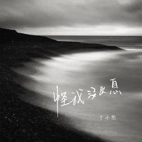 怪我没出息 (DJ版) – Single – 于冬然-无损音乐