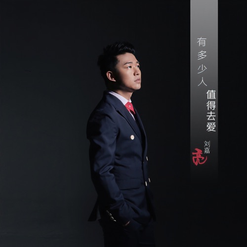 有多少人值得去爱 (伴奏) – Single – 刘嘉亮-无损音乐
