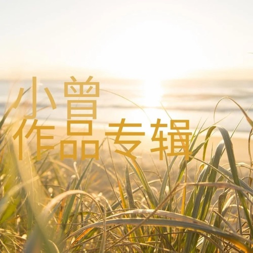 小曾作品专辑 – Single – 小曾 & 王宏伟-无损音乐