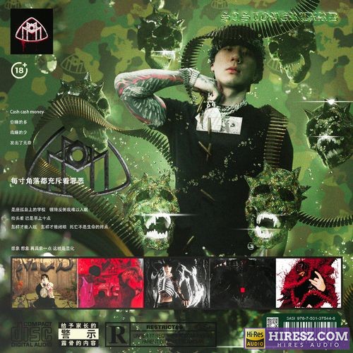 SASIOVERLXRD 超级孙先生-无损音乐