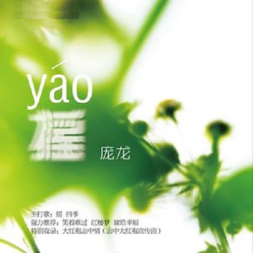 摇 – 庞龙-无损音乐