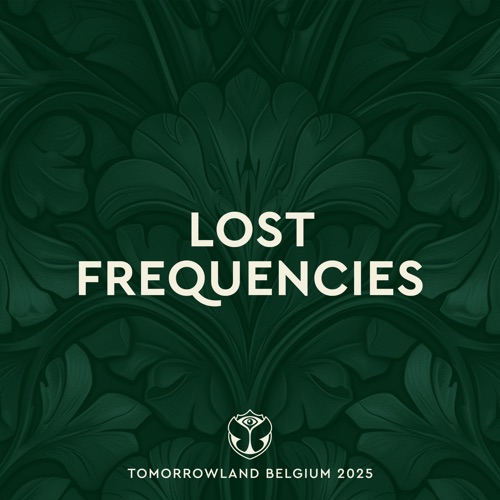 Tomorrowland比利时2025：主舞台丢失频率，周末1 （DJ混音） – Lost FrequenciesTomorrowland Belgium 2025: Lost Frequencies at Mainstage, Weekend 1 (DJ Mix)-无损音乐