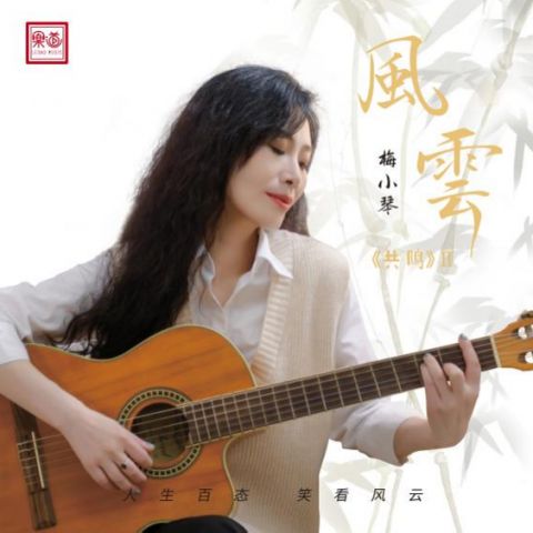 風雲 – 梅小琴-无损音乐