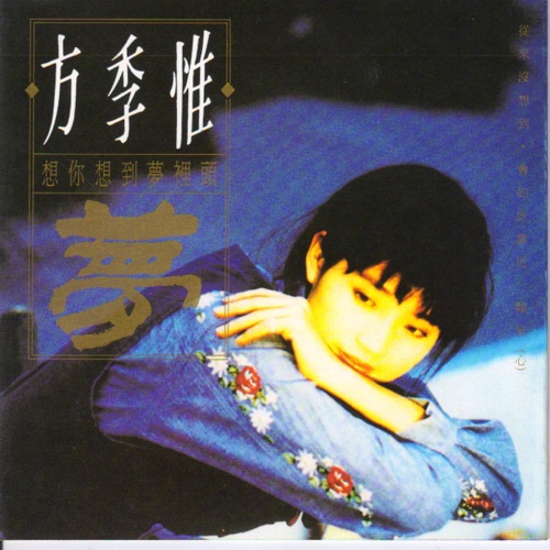 想你想到梦裡头 – 方季惟-无损音乐