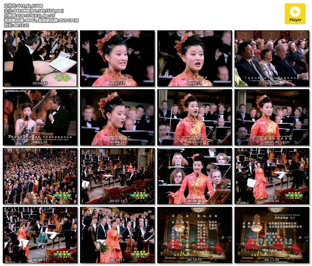 宋祖英 《维也纳金色大厅独唱音乐会》 演唱会 [2DVD-ISO5.93G+1.74G]