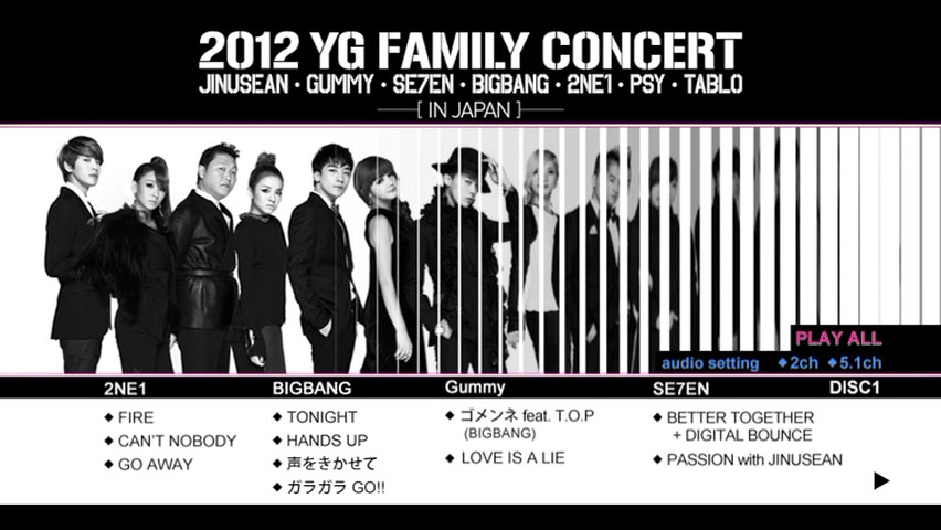 YG Family 《YG Family Concert in Japan》 2012 演唱会 [3DVD ISO 16.6GB]