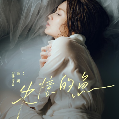 失忆的鱼 – Single – 黄妍-无损音乐