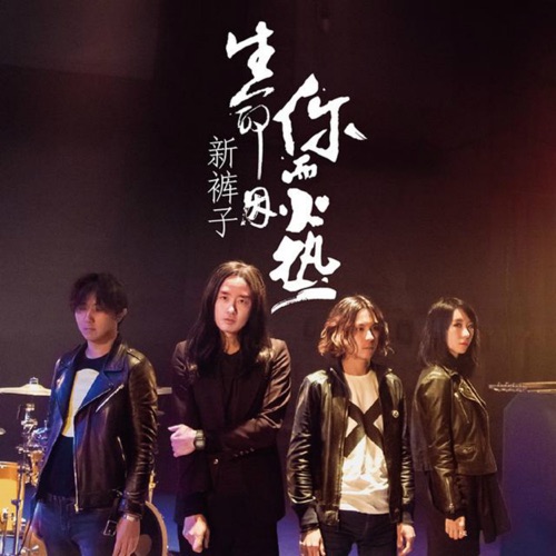 生命因你而火热 – 新裤子乐队-无损音乐