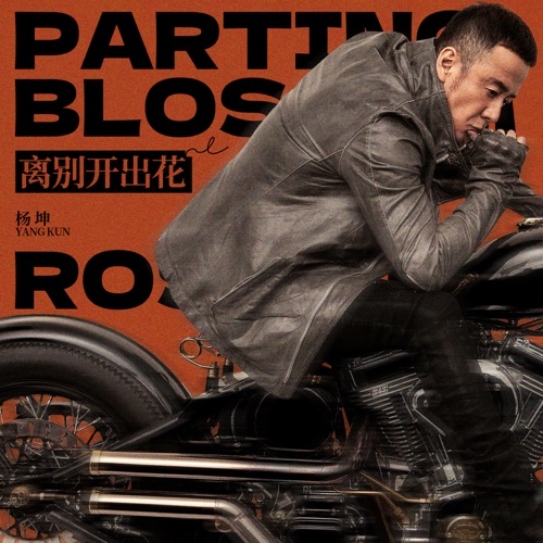 离别开出花 – Single – 杨坤-无损音乐