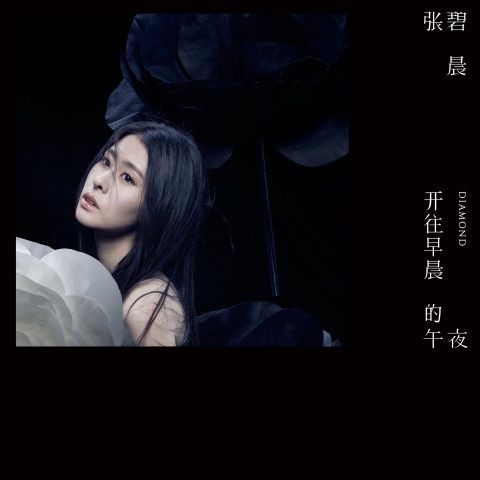 开往早晨的午夜 – 张碧晨-无损音乐