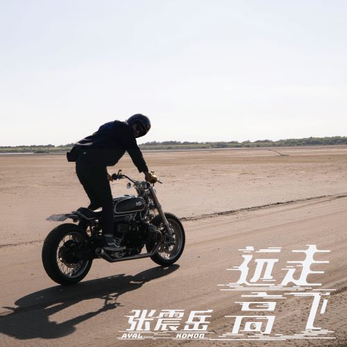 张震岳单曲合辑-无损音乐/蓝光演唱会