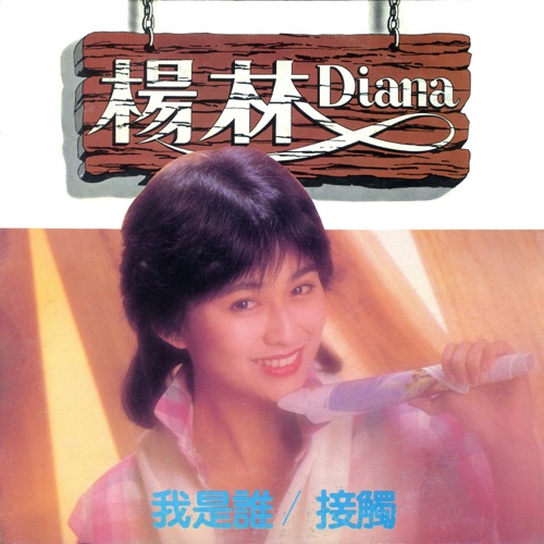 我是谁 – 杨林-无损音乐