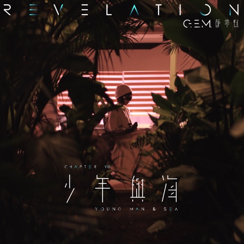 少年与海 – Single – 邓紫棋-无损音乐