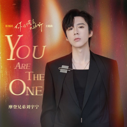 You Are the One(《你的谎言也动听》影视剧主题曲) – Single – 刘宇宁-无损音乐