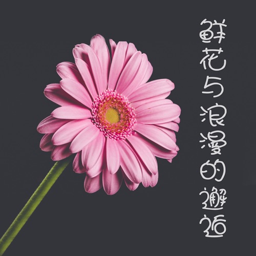 鲜花与浪漫的邂逅 – DJ阿基-无损音乐