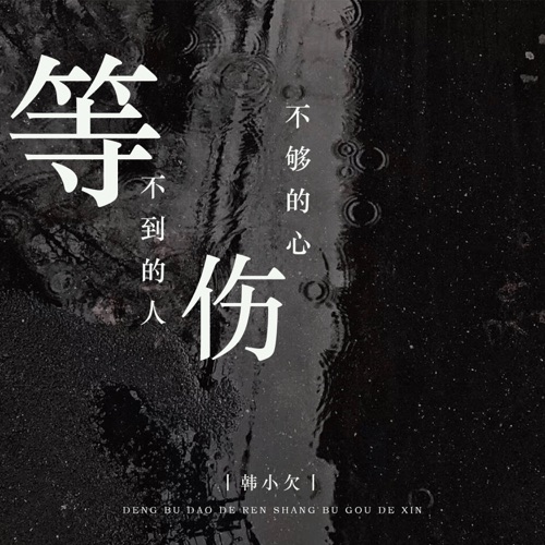 等不到的人伤不够的心 – Single – 韓小欠-无损音乐