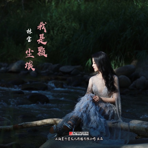我是颗尘埃 – Single – 林宝-无损音乐