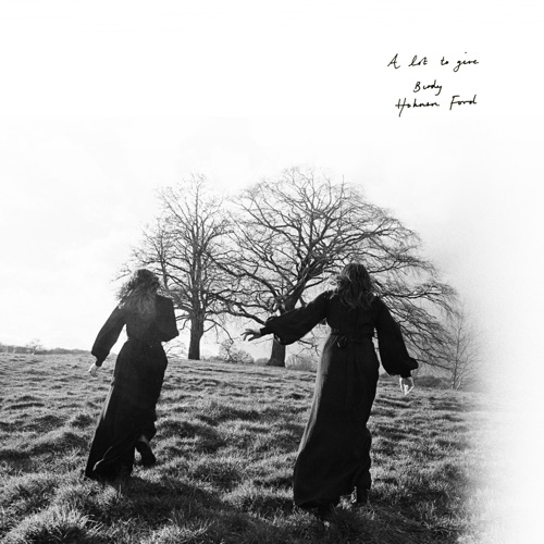 A Lot to Give – Single – Hohnen Ford & Birdy-无损音乐