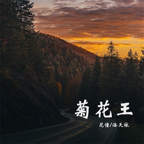 菊花王 – Single – 洛天依 & 花僮-无损音乐