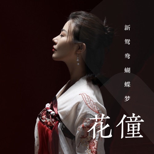新鸳鸯蝴蝶梦 – Single – 花僮-无损音乐