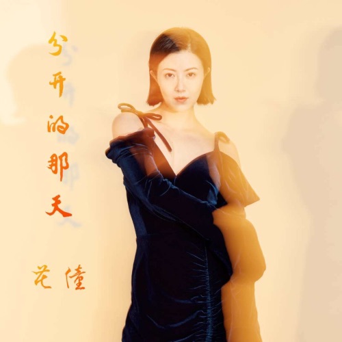 分开的那天 – Single – 花僮-无损音乐